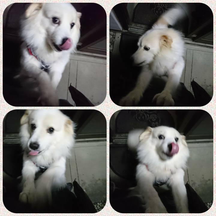 B4a5c5e2 c220 4e19 b2aa 4120411cc38d 1514022760382