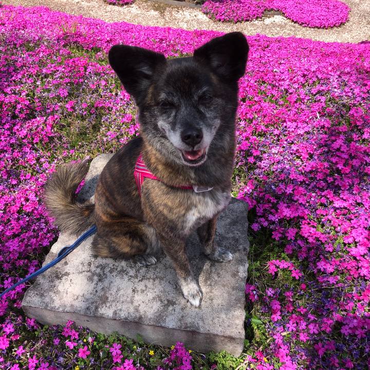 B4a5ca4a ede9 4c20 9645 69971a93a24b 1650528383515