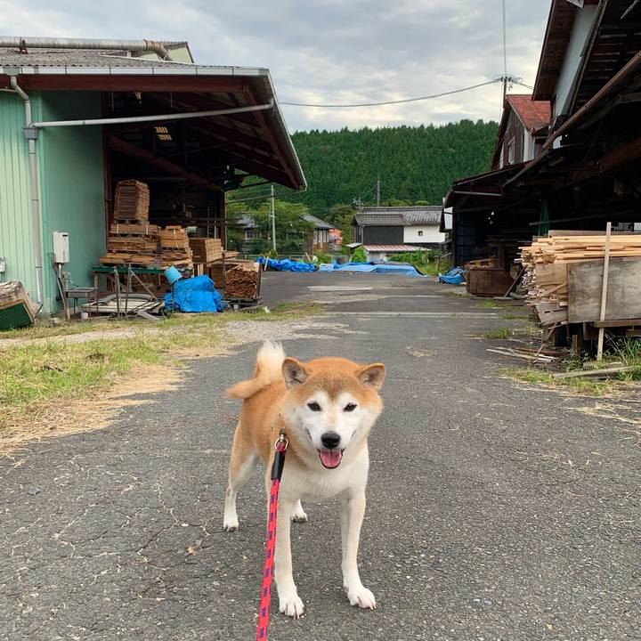 B4a5f7f5 f86c 4109 a45b 2c42c57ff75d 1663751007134