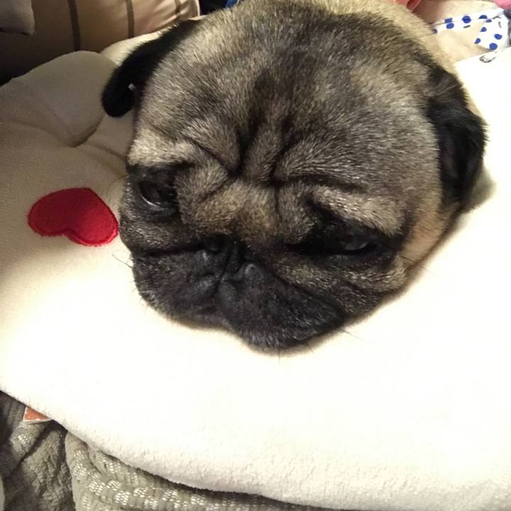 B4a651a0 c096 4882 9856 8db406d05957 1527510842880