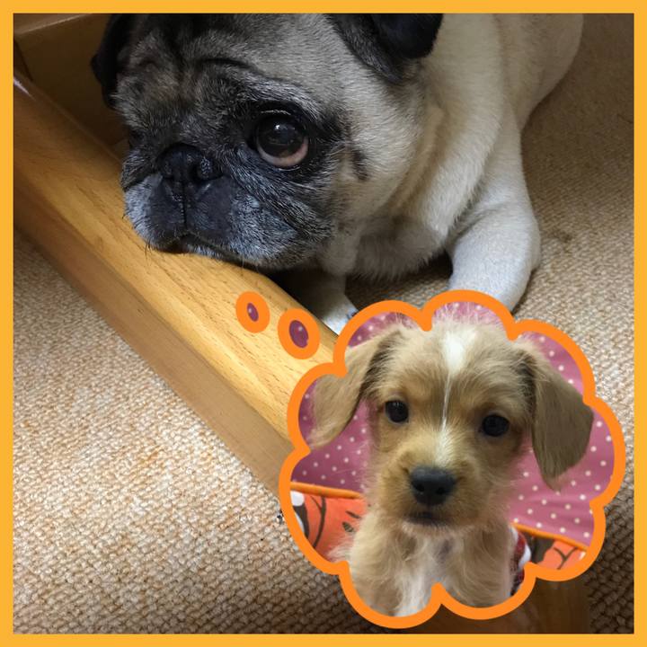 B4a655b2 96f8 47f5 898e 328407b8a64c 1516262674396