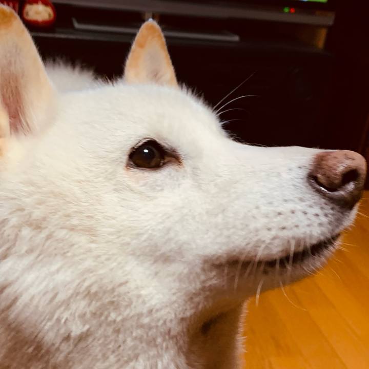 B4a6679e 1933 41b5 913a 875cc2f68d5b 1680042395312