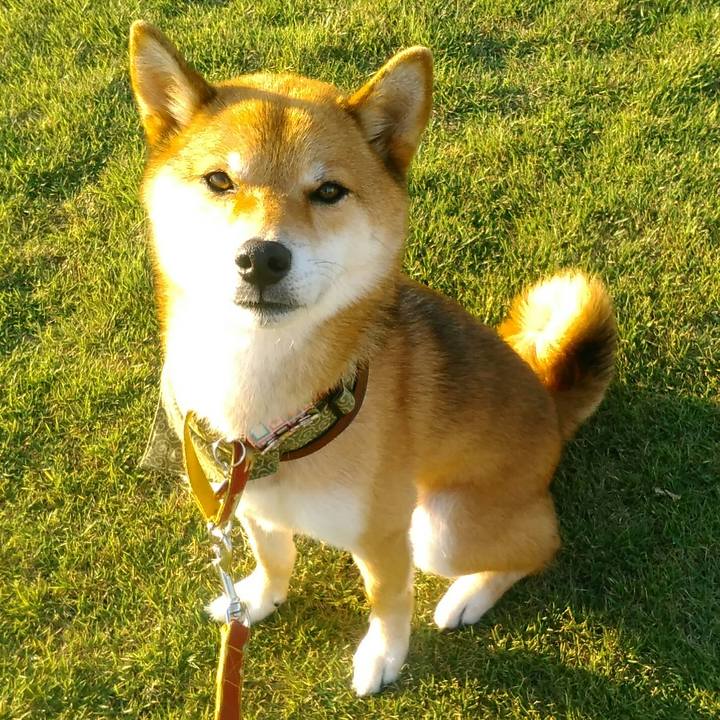 B4a68958 d982 42f7 bea1 24cf86c7f300 1533808865428