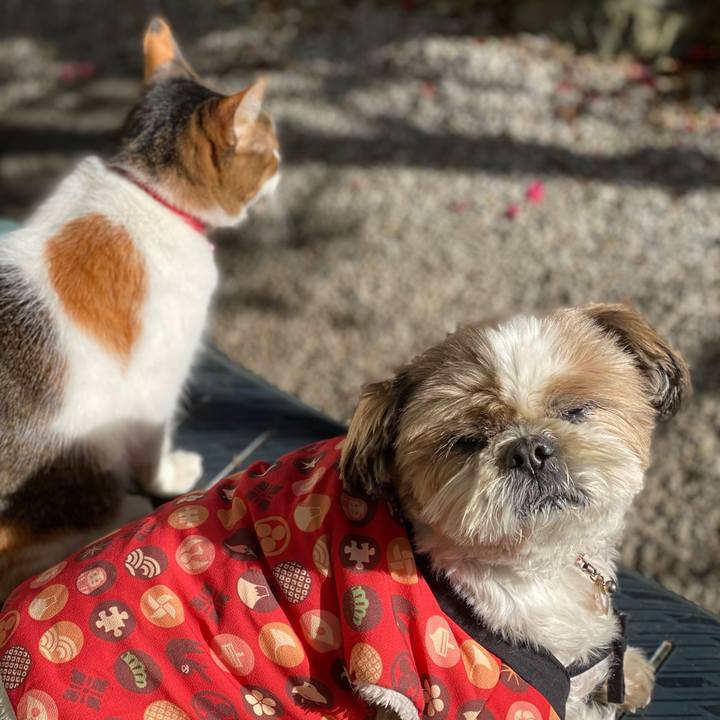 B4a68bda d4a0 441f a3f3 12664d2ef853 1641270552647