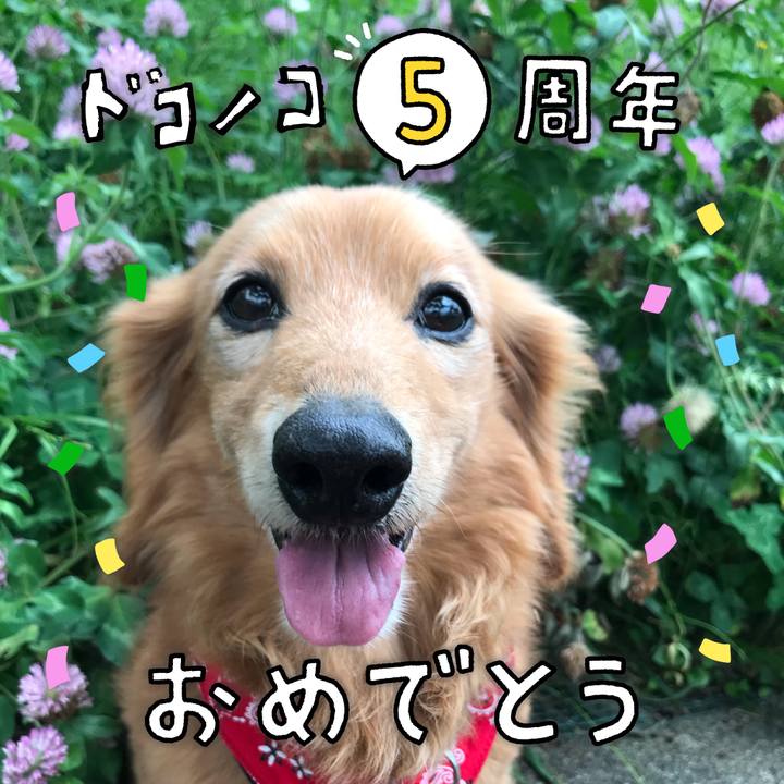 B4a68d12 613f 4ec9 92e9 b8919a693942 1622954097203