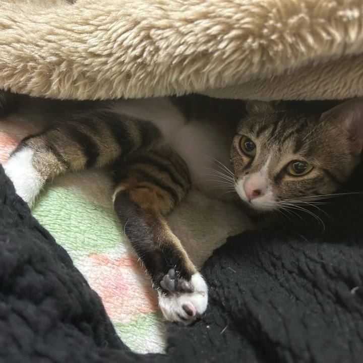 B4a696e9 b6be 414f 9107 9163643ff0a4 1772846819656