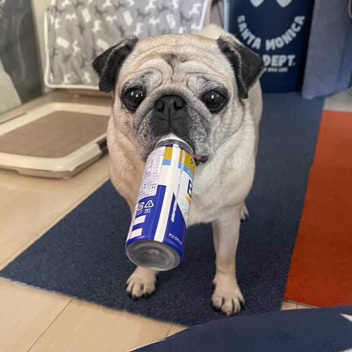 B4a6b583 4073 4d0a b7ba 0c4066940d84 1772839305165