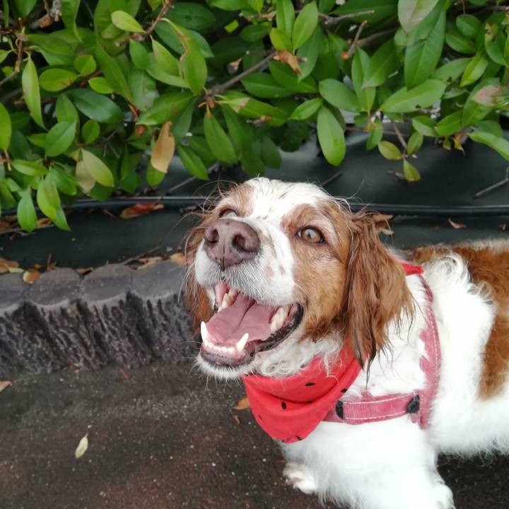 B4a6e5a0 cbda 4590 b286 aaf68df14968 1627991032112