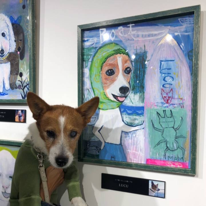 B4a7013d 0ef8 4c72 a515 bfc79ee3525e 1539228830905