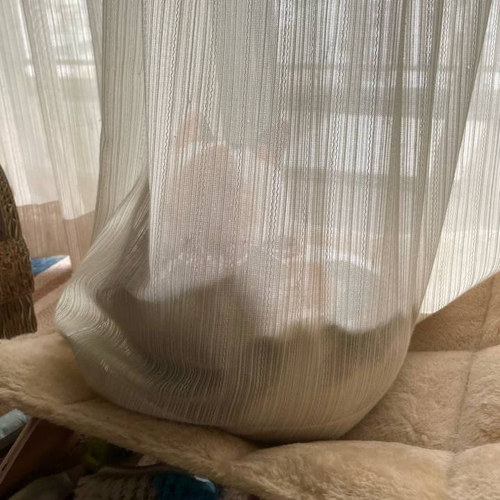 B4a710f0 fb21 448b 8c32 d607f7f2e71f 1747543528248