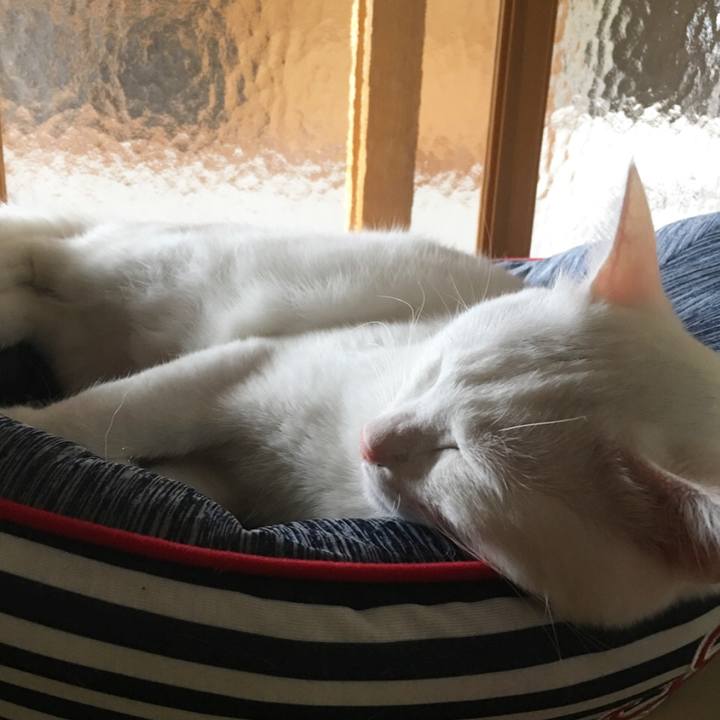 B4a72ef7 85a9 4059 80b7 222eebde7ab8 1530243112010