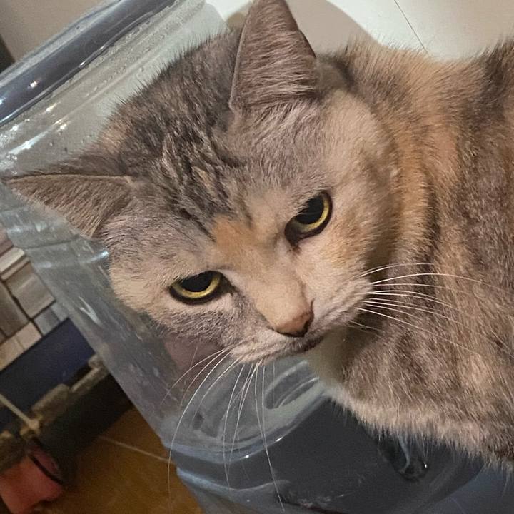 B4a7671e 06d0 44e9 8071 205ee2c0b65c 1771601204002