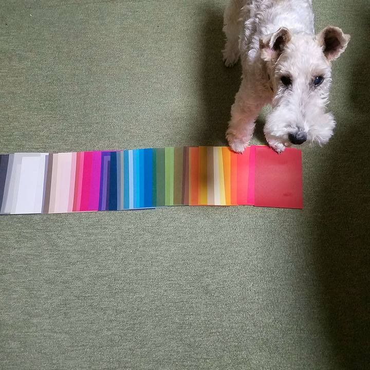 B4a78849 c28e 47d9 865b a6af1c245891 1543157067781