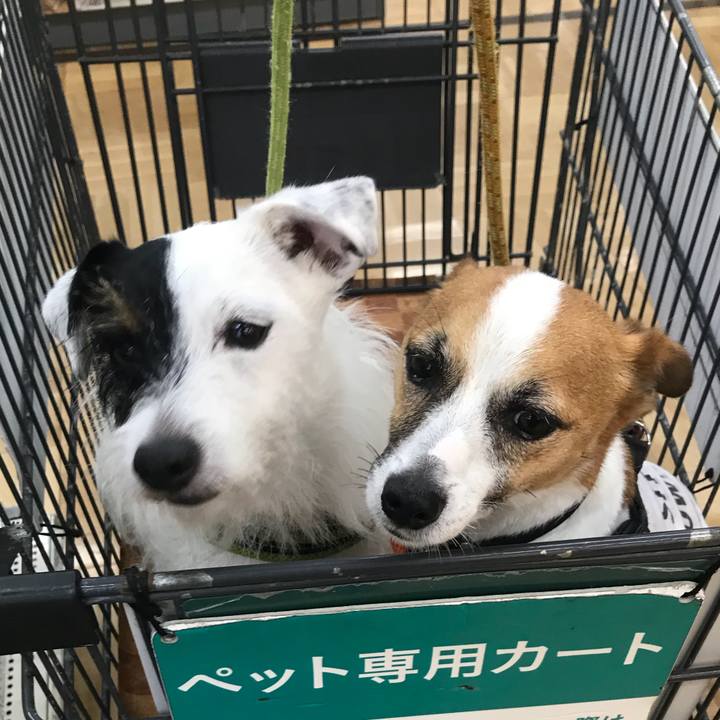 B4a7ce18 c7ab 41e6 b5be afba5c59e120 1531551787665