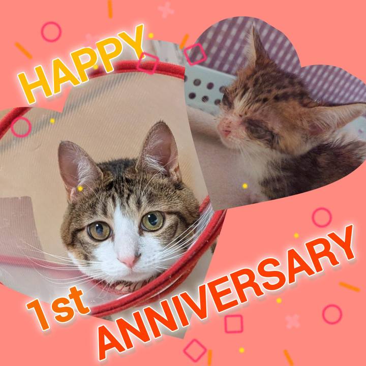 B4a7d289 ebb3 4dec a26e bec2a1354adb 1757472720393