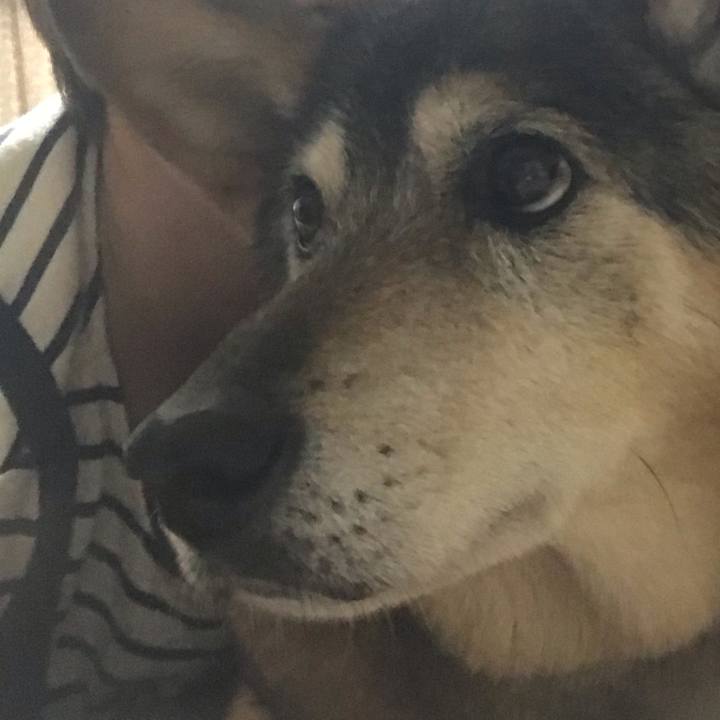 B4a8054d 4a79 4558 80c2 71c83723fa8f 1558856378314