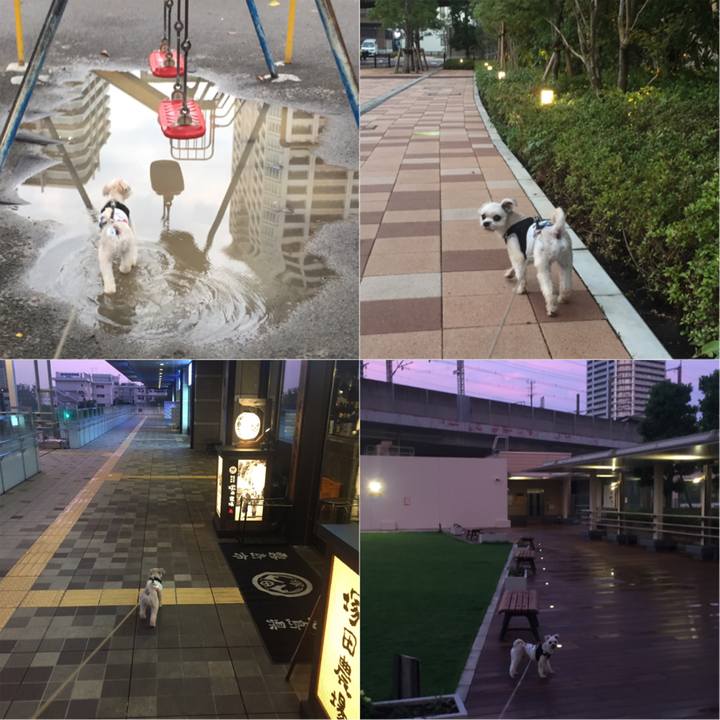 B4a82e73 2c23 48ce 8a43 b97294aa5811 1533986721498