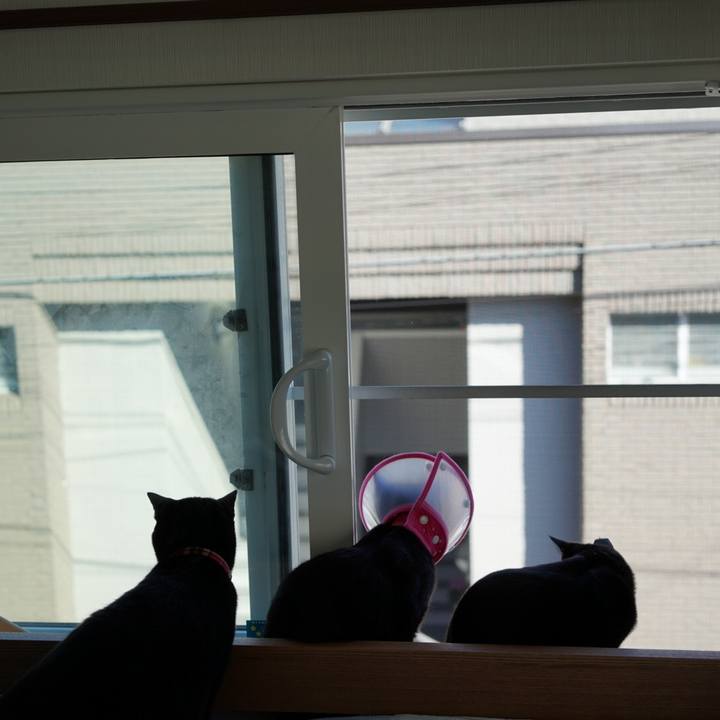 B4a8729e 39ac 4563 a18f 12633bf122e4 1512303433512