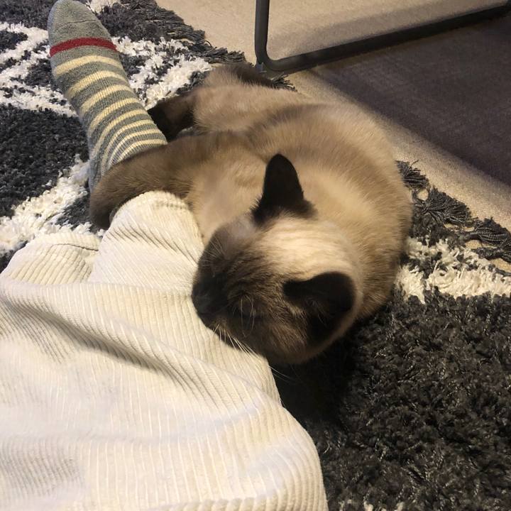 B4a88092 6b9a 46a7 bec7 612a1b1f2de1 1605182312656