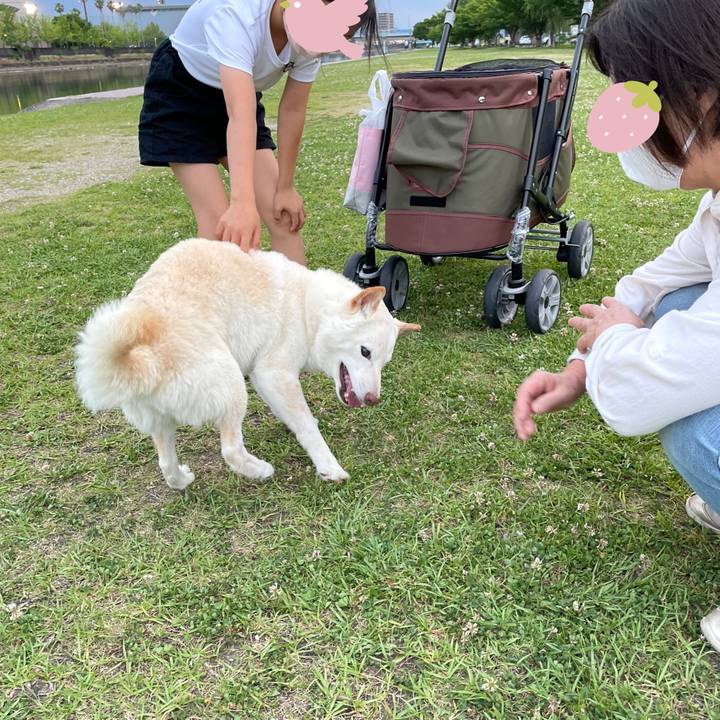 B4a88352 c6bf 443d 8059 44bf4cbc6b14 1654358885836