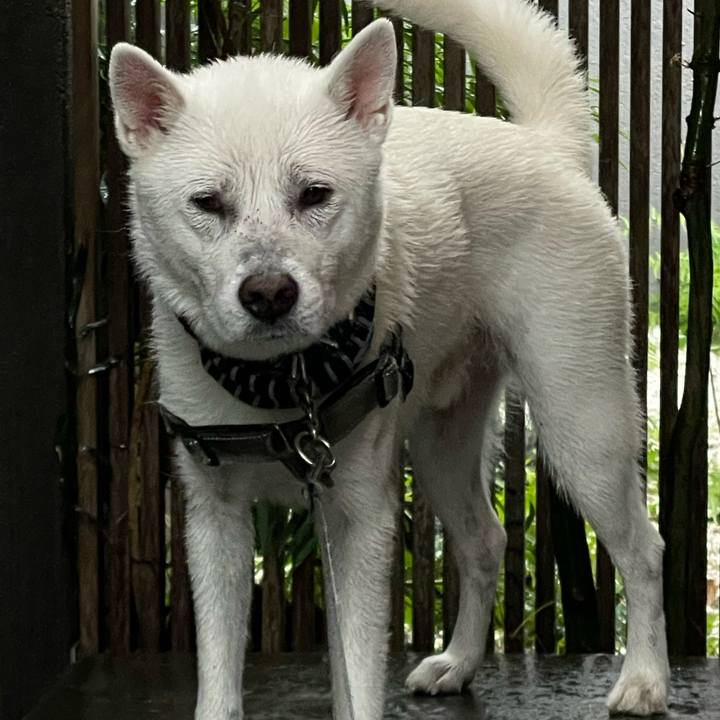 B4a88fad 6b35 49ef 9fe7 9f5bd8a87c6c 1689723601109