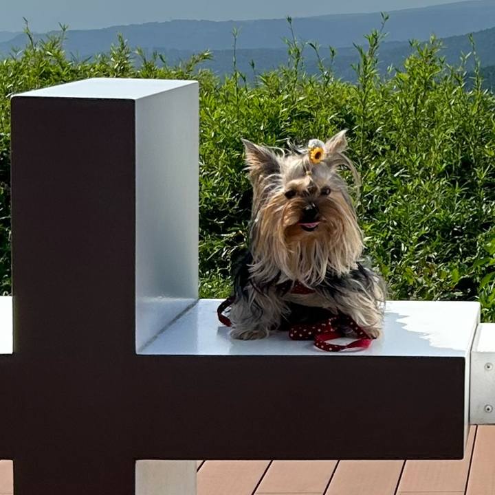 B4a89f67 203a 4268 ae7c 5be7a505d530 1692692118517