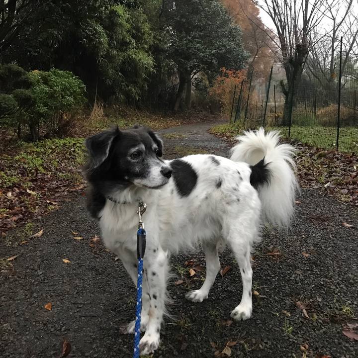 B4a8a883 b84b 4fb3 b161 adcd60d3069a 1512021016702