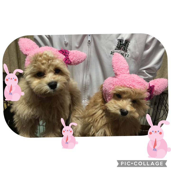 B4a917c7 f019 4e47 bc50 6683e0e2bd10 1632223204677