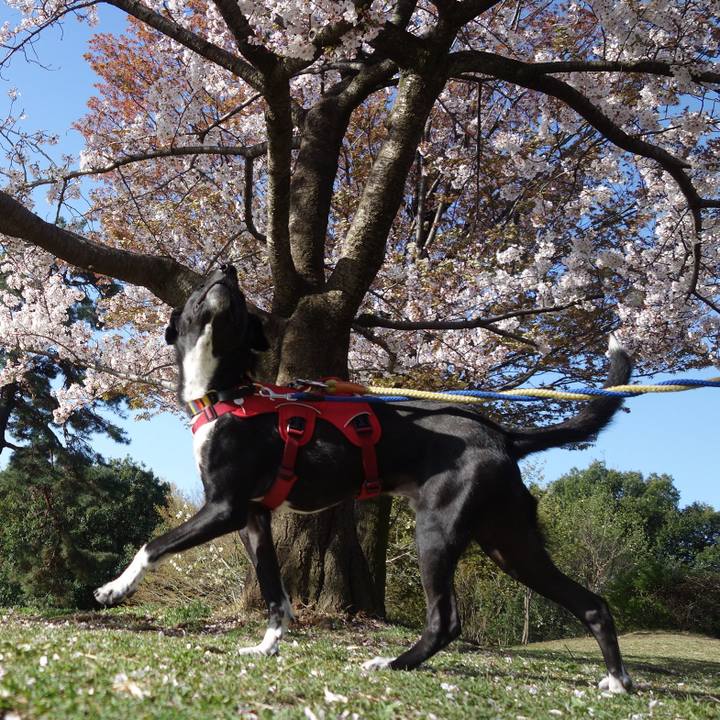 B4a93202 841a 41a6 baf9 a602ade43645 1585788659944