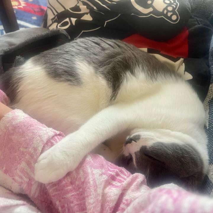 B4a96d65 314d 4da7 beec 82b35248beac 1649552680027