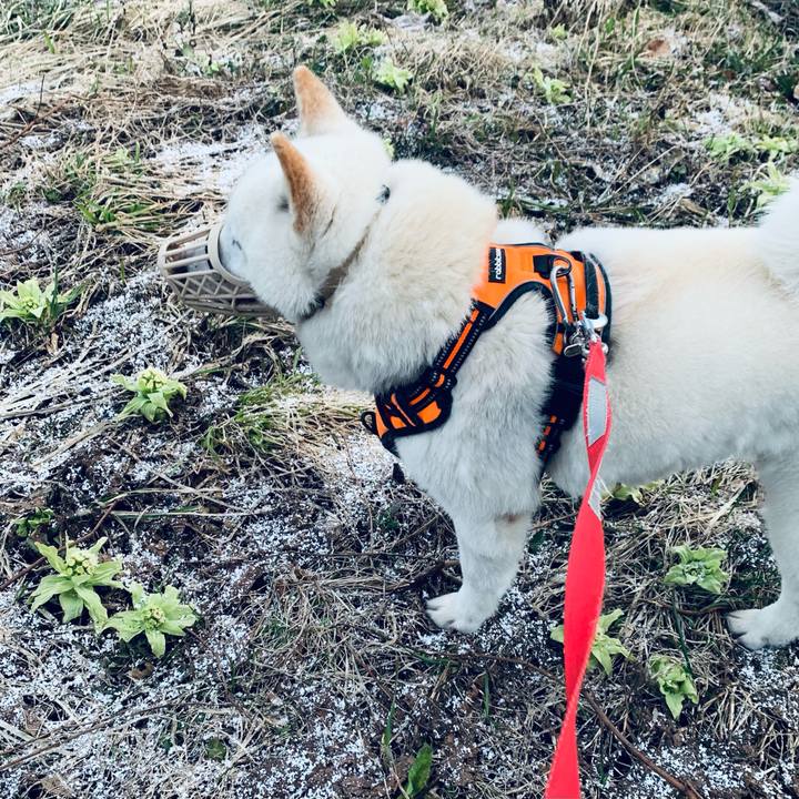 B4a9a728 c408 4ff5 bad6 23cdb071ca57 1618434845142