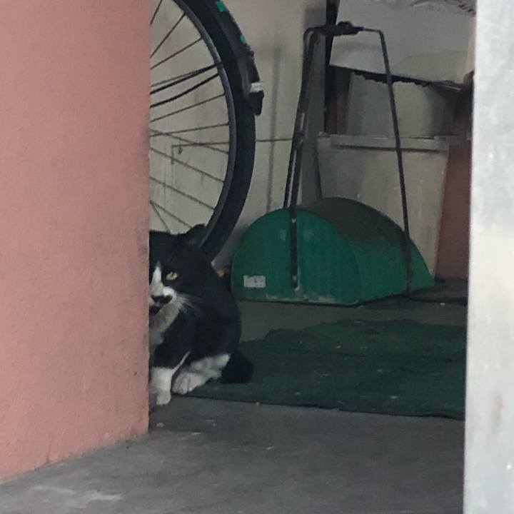 B4a9fe26 71d2 42d3 aede 6cdf3e13bb3c 1518624131372