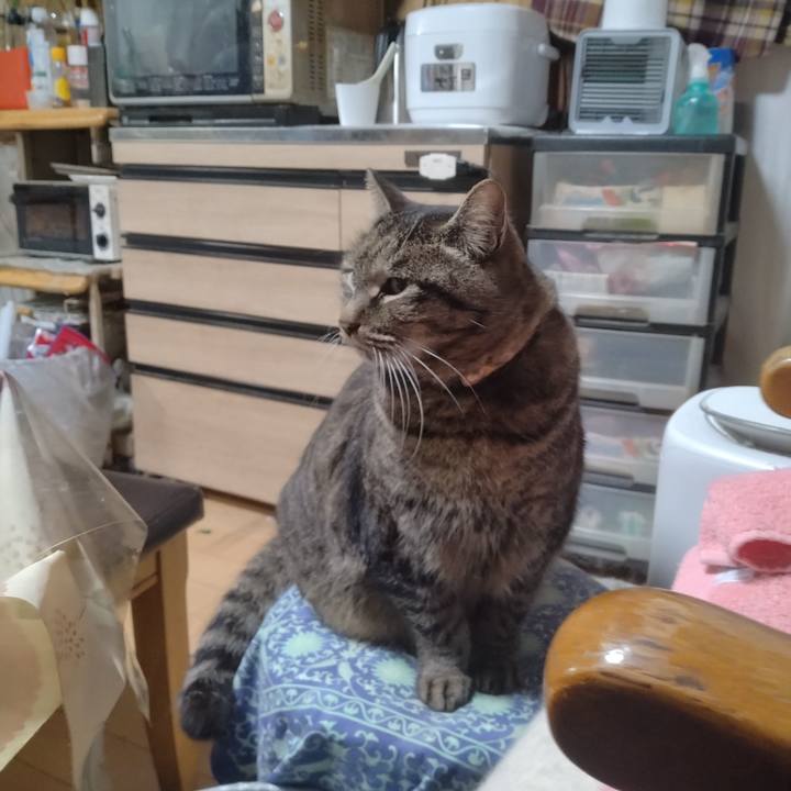 B4aa11be 6a4b 443b a535 b709b60c0fce 1708946519887