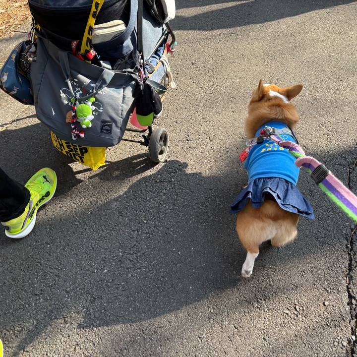 B4aa3623 886e 4db3 84bb fcc0630bac95 1771807865478