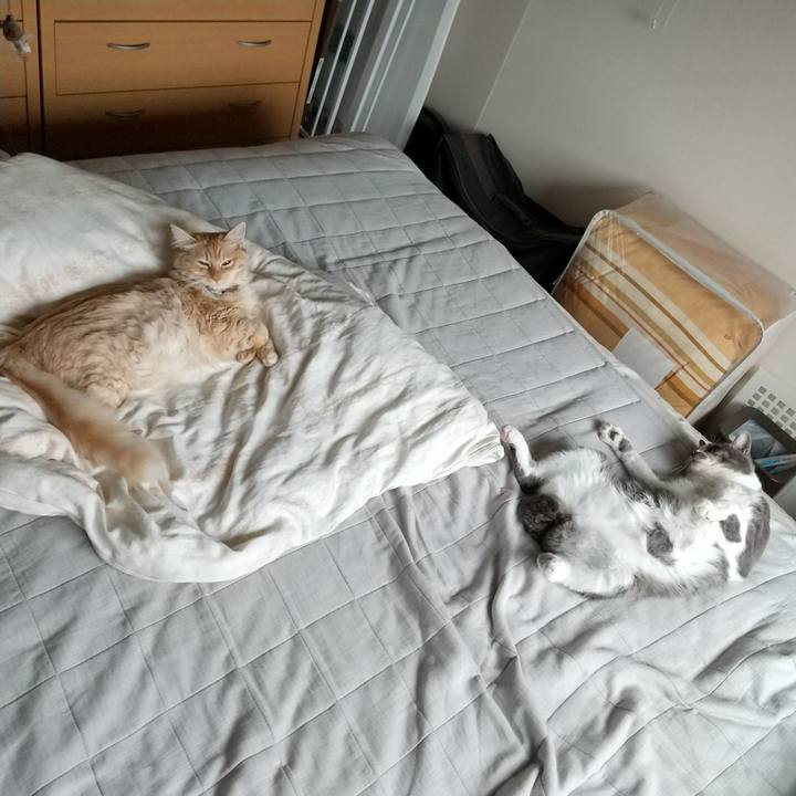 B4aa5008 e2dc 4dfe b65d e885231d9bac 1630718722718