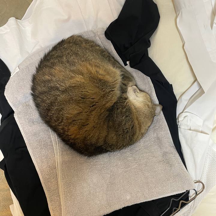 B4aaa3ee 4789 4ef5 8071 2dc01b481f70 1733657704883