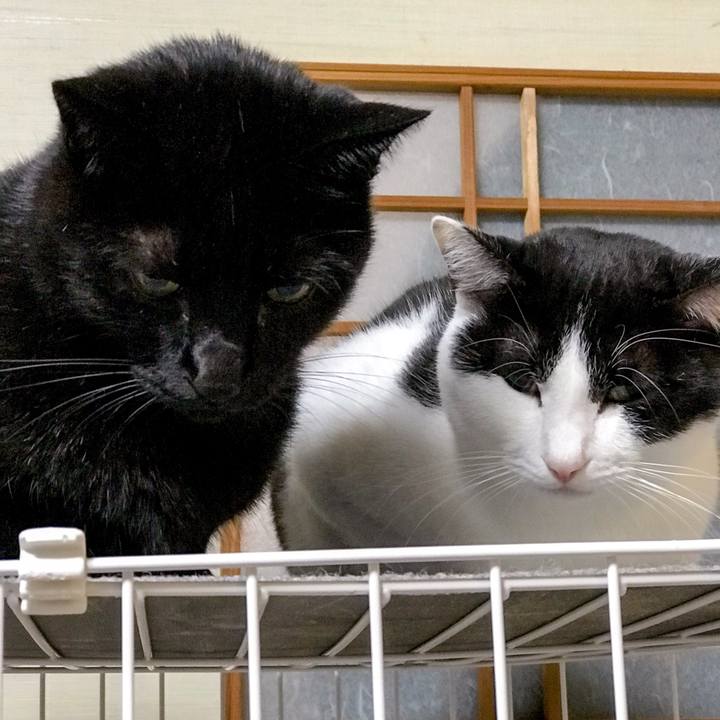 B4aaaa76 304b 472c a6a7 332487ff15ac 1511397955897