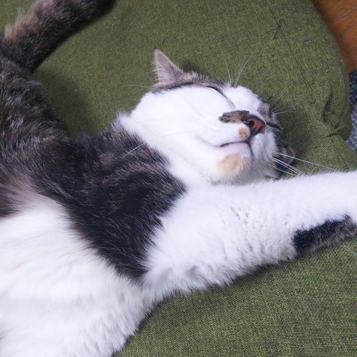 B4aad5c0 bf13 4423 8278 8d07f5fea48a 1636890097557