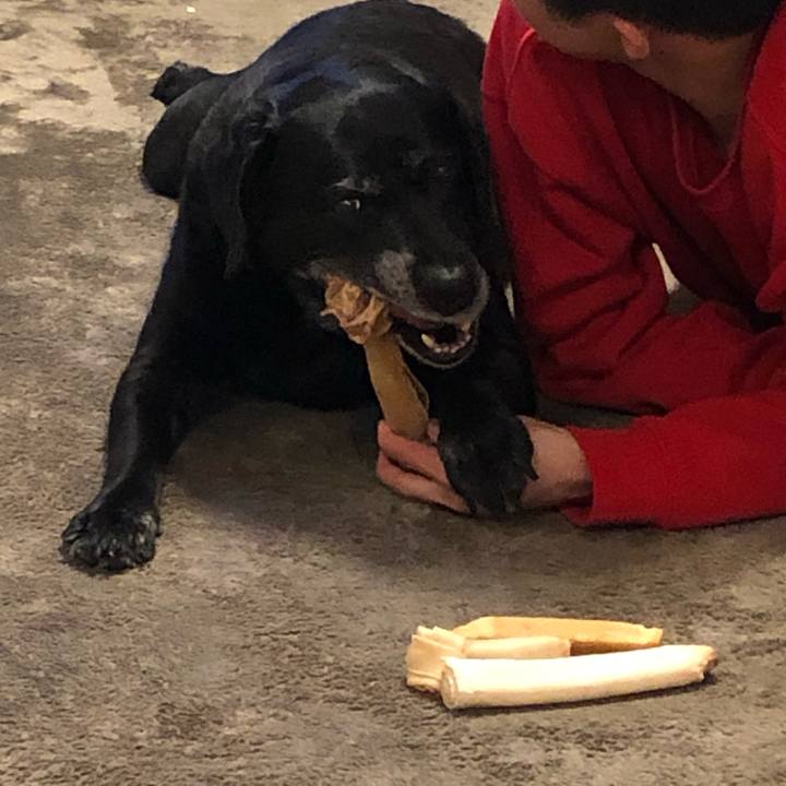 B4aad6d5 da1a 4897 a22d 1a3397d6e987 1586948548368