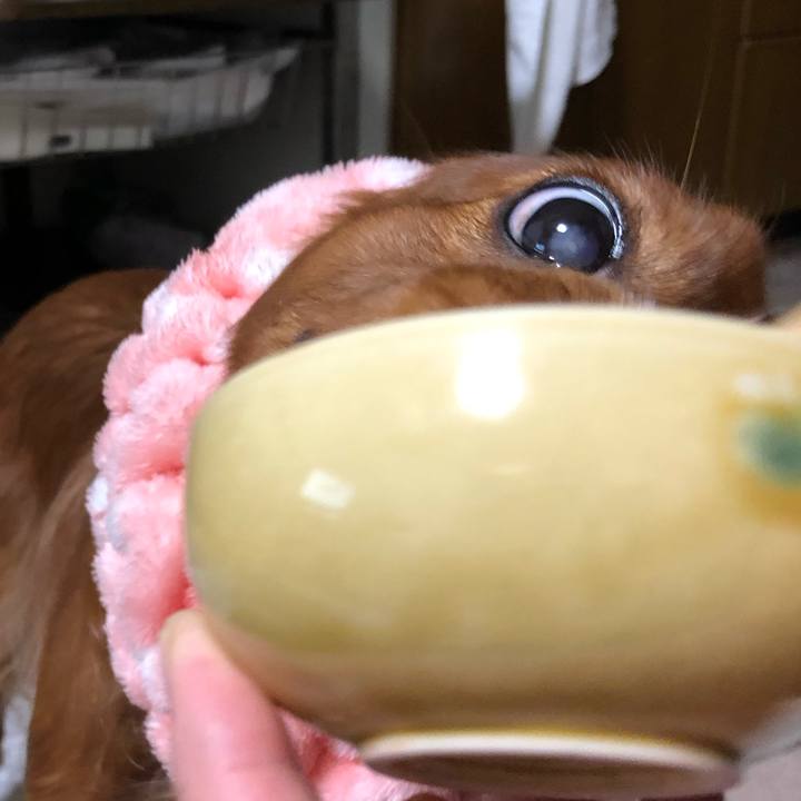 B4aadebc 8c32 4d1f 80e8 273064bff9c4 1580076524225