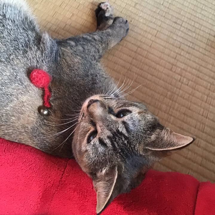 B4ab2e2b 9804 41e3 aa56 f6485ffd0657 1597531472773