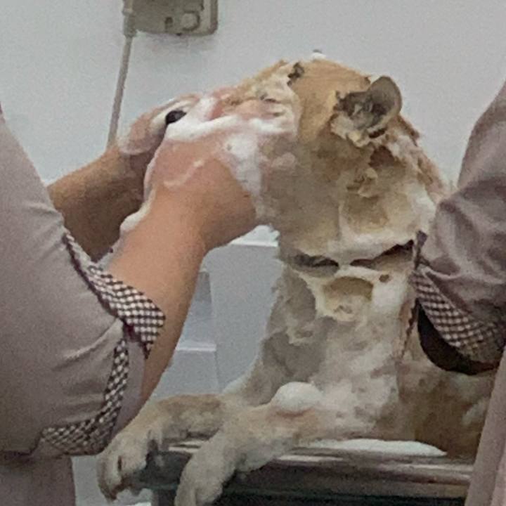 B4ab368c 9f1f 4c2f 8e5b aa955cddec07 1579846723734