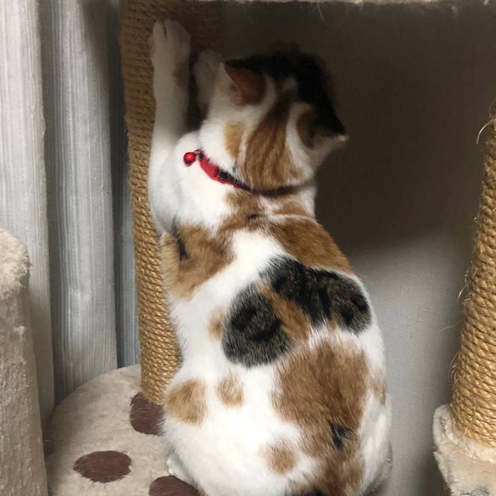 B4ab375c 9b41 413b 8c2b 51837252b74c 1581692660199