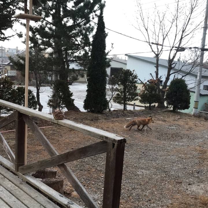 B4ab4212 1995 4dd6 b27b 03bd7743c800 1575759990726