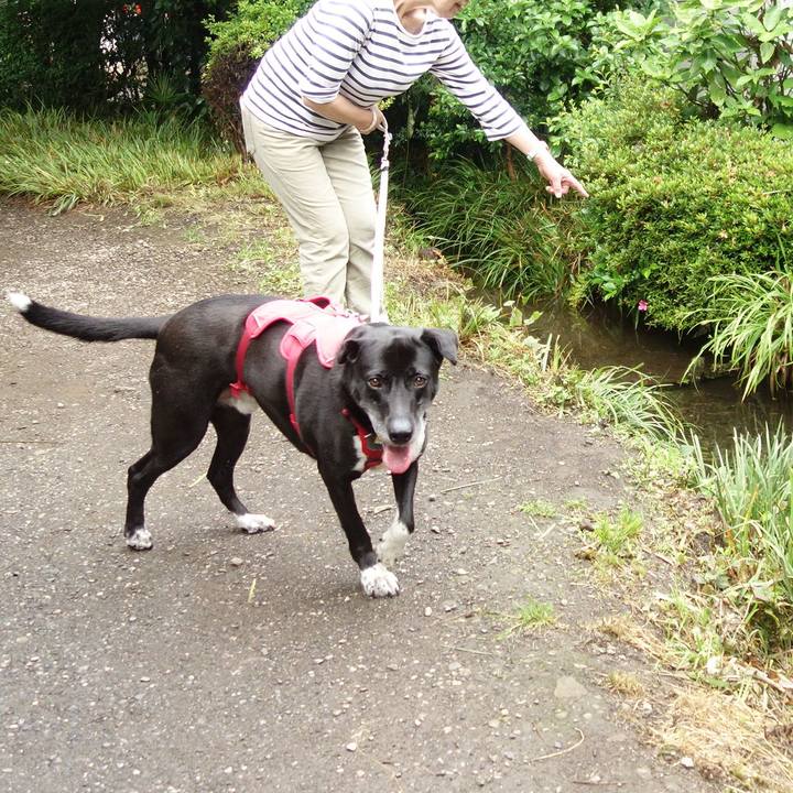 B4ab4b15 7fd3 4b12 963d 4a2fb80d81b3 1685409426439