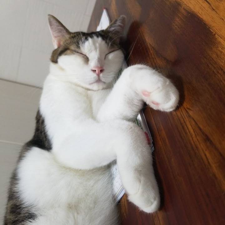 B4ab6973 60b4 4160 86ee 2b926ffc6732 1571007638326