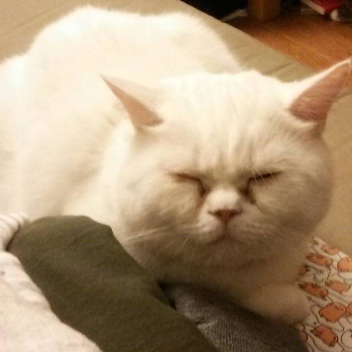 B4ab797e 8fba 43a2 a13c 4bfc1c7a2427 1542530925581