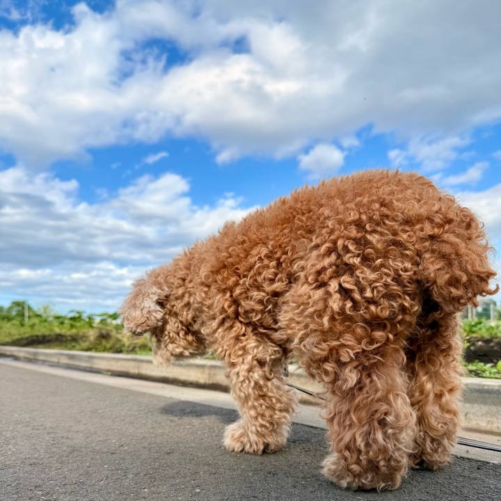 B4ab98ca fab2 461d b881 397de2ff128f 1761608430335