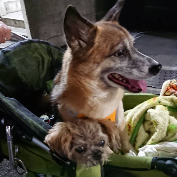 B4abc39e a291 4554 bbfa 71e77951896e 1526566282352