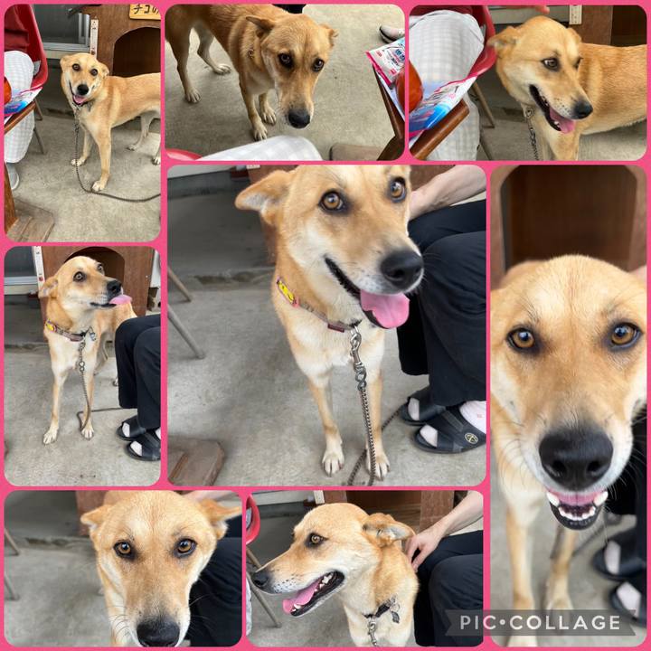 B4abcd0e 8901 40fa b659 5a1bd6ced634 1689592819081